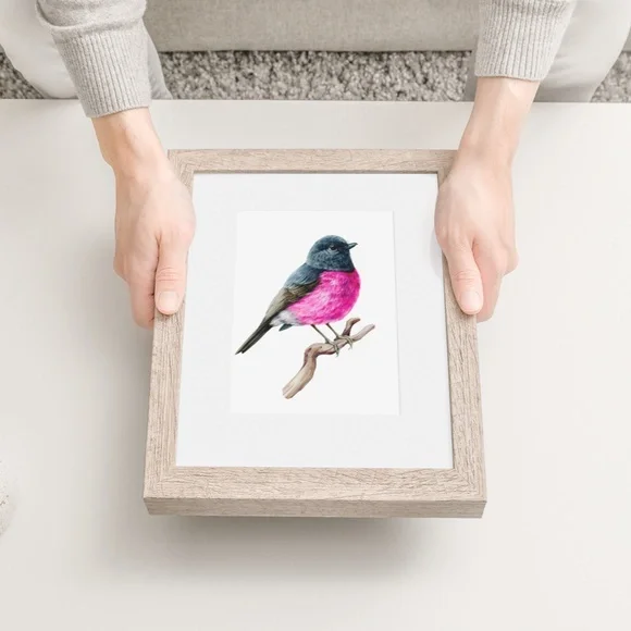 Pink Robin Bird Wall Art Watercolor Illustration Print Poster Card Unframed - Picture 4 of 7